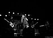       20.10.2011 Umsonst und Drinnen mit Los Tacos Blues Band