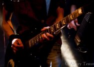 26.01.2011 Bad Bones