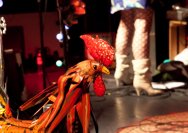 26.03.2011 Jane Walton