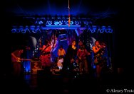 26.03.2011 Jane Walton