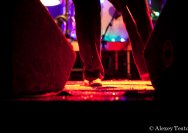 26.03.2011 Jane Walton