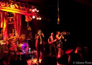 26.03.2011 Jane Walton
