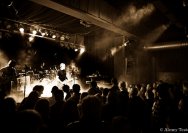 31.10.2011 Bluesgangsters