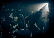 16.02.2013 Schwefelgelb