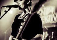 26.01.2013 Hau dem Winter auf die Fresse mit Diva Kollektiv und The Scaredy Cats