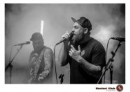 20.12.2018 Distel im Beton, Droke, Minipax