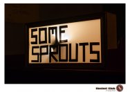 22.11.2018 Some Sprouts