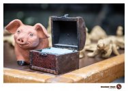 29.06.2018 Sommerfest - Die Meschpoke