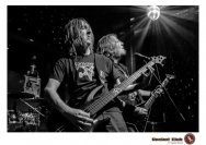 16.01.2019 Umsonst und drinnen - Frog Shock