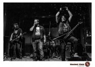 16.01.2019 Umsonst und drinnen - Frog Shock