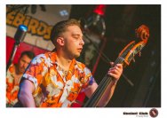 27.03.2019 Umsonst und Drinnen - Billy and the Boozebirds, King Cojones