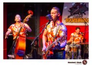 27.03.2019 Umsonst und Drinnen - Billy and the Boozebirds, King Cojones