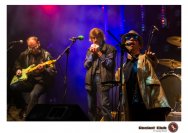 24.10.2020 Big Joe Blues &amp; Electric Killers, Sunbear Bluesband