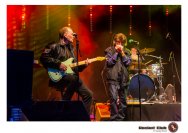 24.10.2020 Big Joe Blues &amp; Electric Killers, Sunbear Bluesband